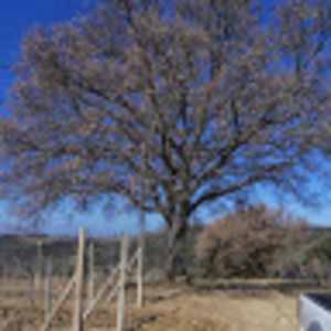 Meet your Posher, S.